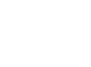 Show+Sell_Logo_Stacked_Reversed